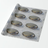 カメの写真 ラッピングペーパー (アンロールド)