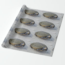 カメの写真 ラッピングペーパー