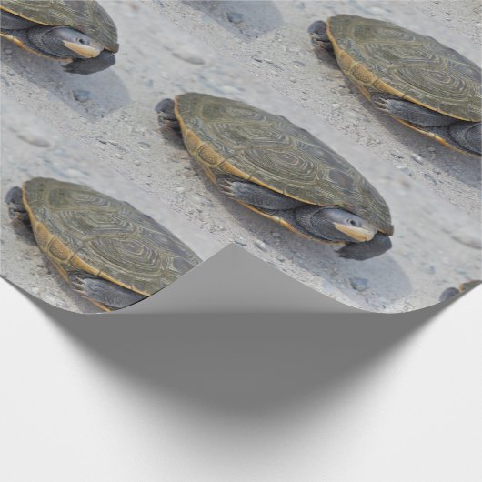 カメの写真 ラッピングペーパー (角)