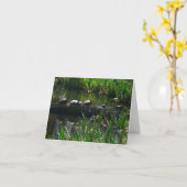 カメの列 緑豊かな自然の写真 カード (黄色い花)