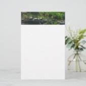 カメの列 緑豊かな自然の写真 便箋 (スタンド正面)