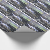 カメの包装紙 ラッピングペーパー (角)