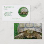 カメの名刺 名刺 (正面/裏面)