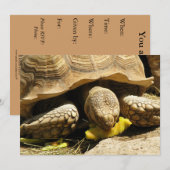 カメの招待状 招待状 (正面/裏面)