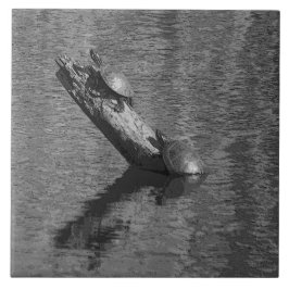 カメの時間はJanzによって2インク6x6セラミックタイルを時間を計ります タイル