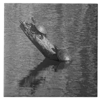 カメの時間はJanzによって2インク6x6セラミックタイルを時間を計ります タイル