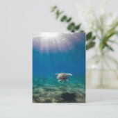 カメの水中シーン旅行はがき ポストカード (スタンド正面)