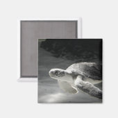 カメの水槽 マグネット (正面/裏面)