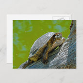 カメの登るポストカード ポストカード (正面/裏面)