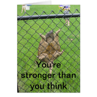 カメの登山の塀