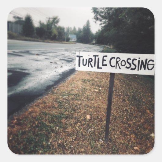 カメの移動 スクエアシール (正面)