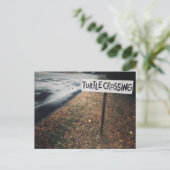 カメの移動 ポストカード (スタンド正面)