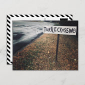 カメの移動 ポストカード (正面/裏面)