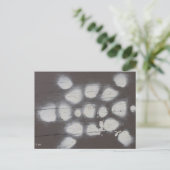 カメの移動 ポストカード (スタンド正面)