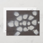 カメの移動 ポストカード (正面/裏面)