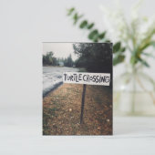 カメの移動 ポストカード (スタンド正面)