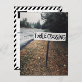 カメの移動 ポストカード (正面/裏面)