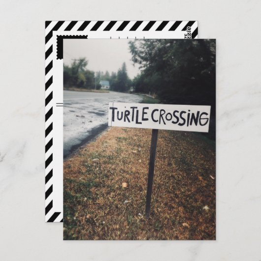 カメの移動 ポストカード (正面/裏面)