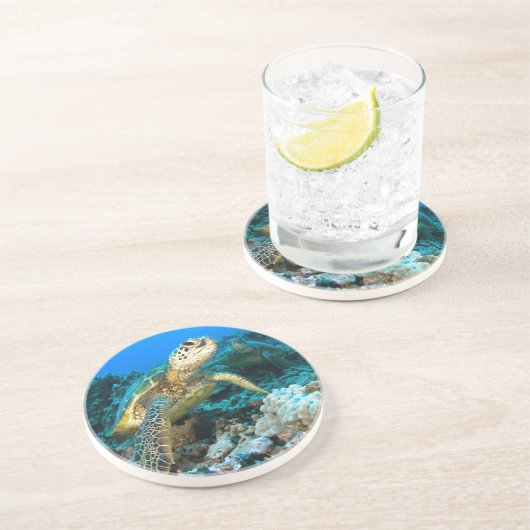 カメの組 コースター (側面)