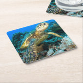 カメの組 スクエアペーパーコースター (アングル)