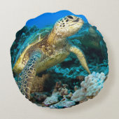 カメの組 ラウンドクッション (裏面)