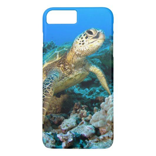 カメの組 Case-Mate iPhoneケース (裏面)