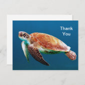 カメの青い海の写真ありがとう ポストカード (正面/裏面)