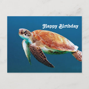 カメの青い海の写真の誕生日 ポストカード