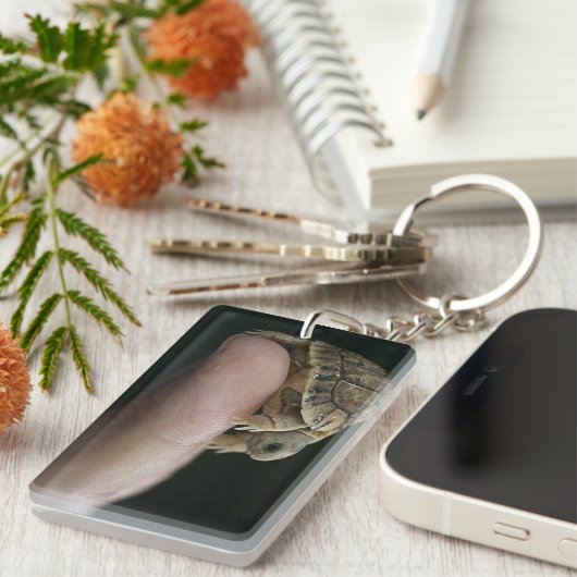 カメのkeychain キーホルダー (正面右)