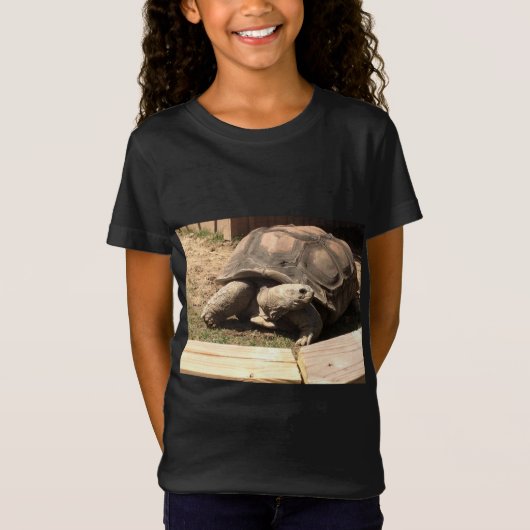 カメのshrit tシャツ (正面)