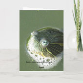 カメは誕生日カードを注目します カード (裏面)