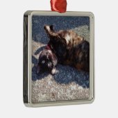 カメよくはしゃぐの猫 メタルオーナメント (右)