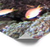 カメを飼い慣らす ポスター (角)