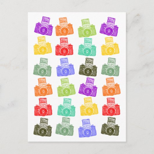 カメカラフルラ ポストカード (正面)