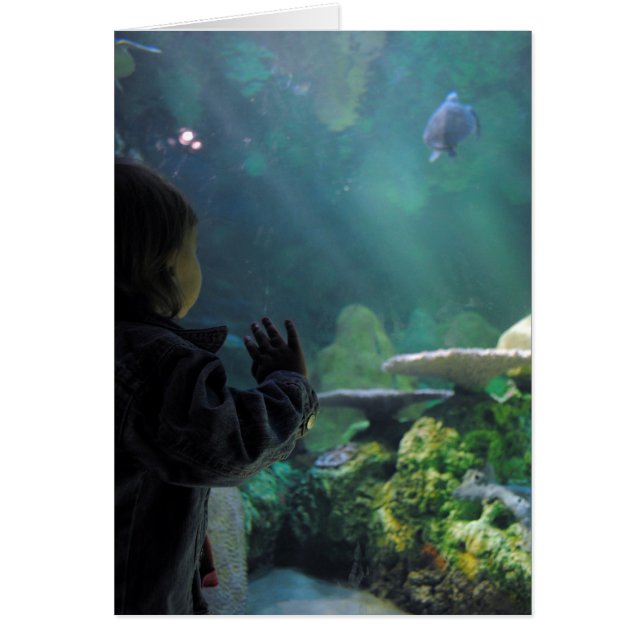 カメタンクビューア (正面)