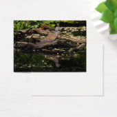 カメハト (デスク)