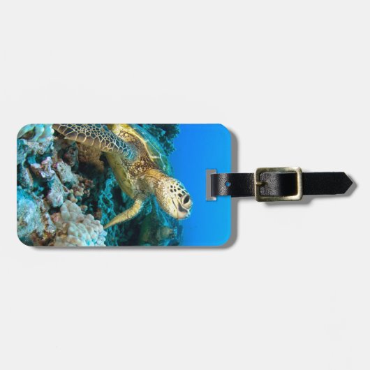 カメペア ラゲッジタグ (正面横)