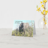 カメラに向けた象歩く カード (黄色い花)
