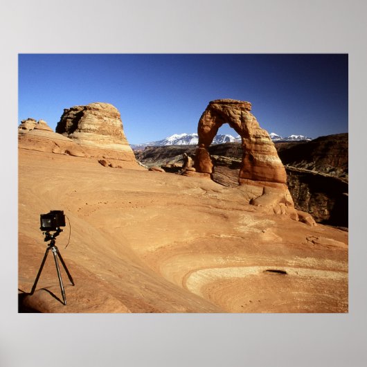 カメラに適したビュー ポスター (正面)