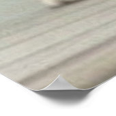 カメラのためにポーズを取る3つの可愛い子犬 ポスター (角)