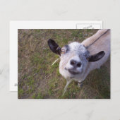 カメラのスマイル ポストカード (正面/裏面)