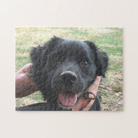 カメラのスモーキーポーズ ジグソーパズル (横)