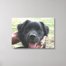 カメラのポーズをスモークポーズ