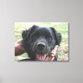 カメラのポーズをスモークポーズ キャンバスプリント