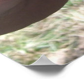 カメラのポーズをスモークポーズ ポスター (角)