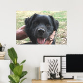 カメラのポーズをスモークポーズ ポスター (ホームオフィス)