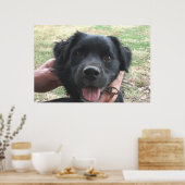 カメラのポーズをスモークポーズ ポスター (キッチン)