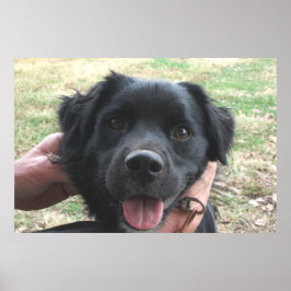 カメラのポーズをスモークポーズ ポスター