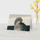 カメラのポーズ設定 カード (黄色い花)