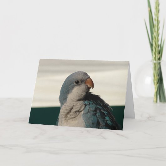 カメラのポーズ設定 カード (正面)